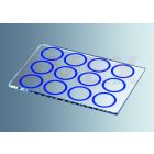Lame pentru microscop Marienfeld, 12 inele printate, 10 buc