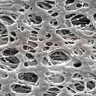 Membrane filtrante din PES Merck Millipore Express Plus, 142 mm, dim. pori 0.22 µm