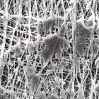 Membrane filtrante din PTFE cu suport laminat MERCK MILLIPORE, 47 mm, dim. pori 0.22 µm