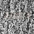 Membrane filtrante din PTFE MERCK MILLIPORE, 25 mm, dim. pori 0.45 µm